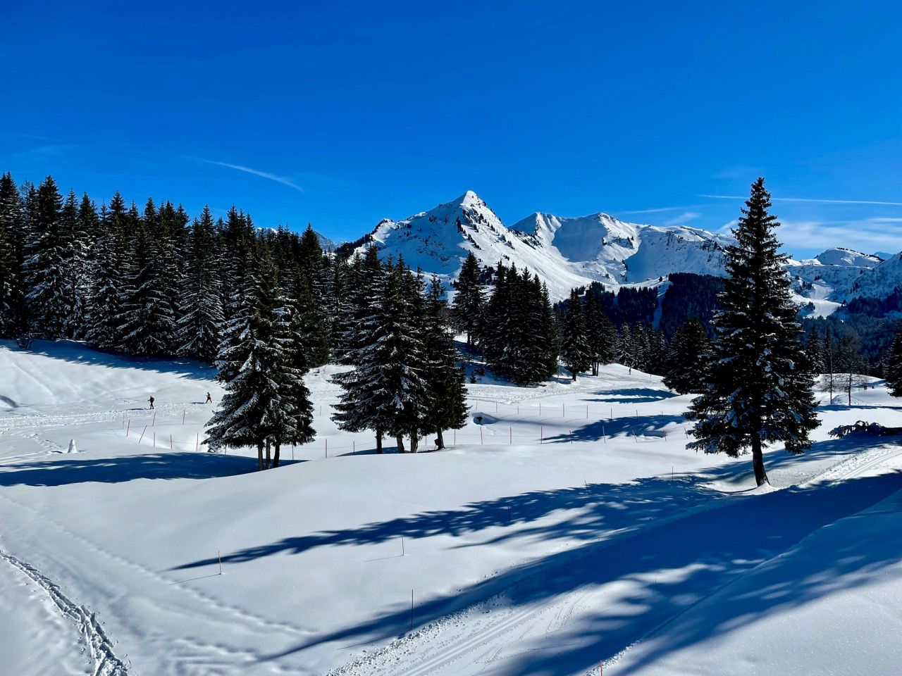 A charming ski village in Les Gets.